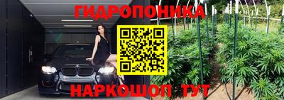 ECSTASY Будённовск