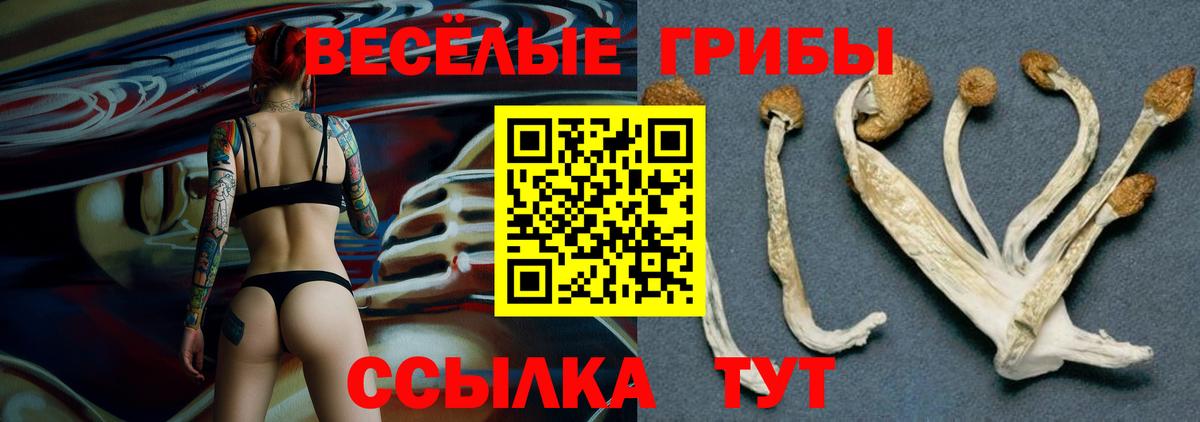 Галлюциногенные грибы Magic Shrooms  Галлюциногенные грибы ЛСД  Вход с VPN  Урай 